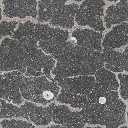 Seamless Textures of Concrete + Normal & Bump Mapping